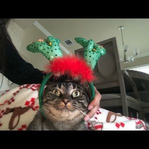 Meet your Posher, Amna